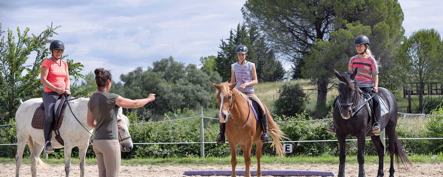 Stylo peluche - Papéterie - La Sellerie.com : tout l'équipement et le  matériel pour le cheval et l'équitation, le sport ou loisir équestre
