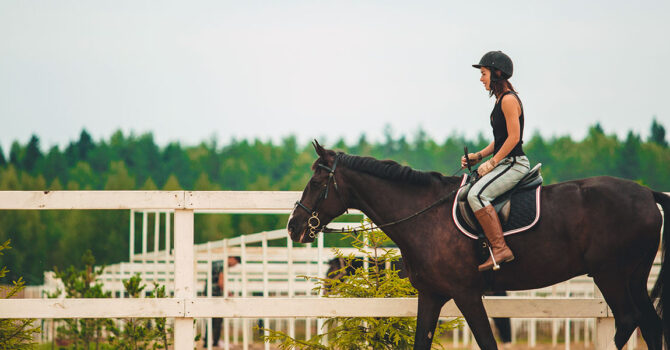 comment apprendre à son cheval à reculer ?