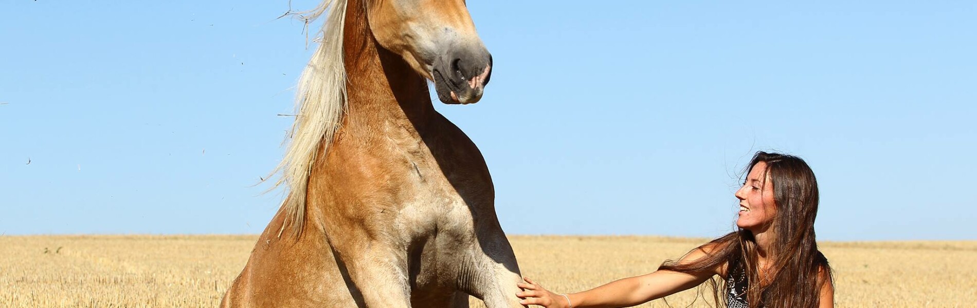 Les Couples Faceponeys Du Mois De Novembre 15