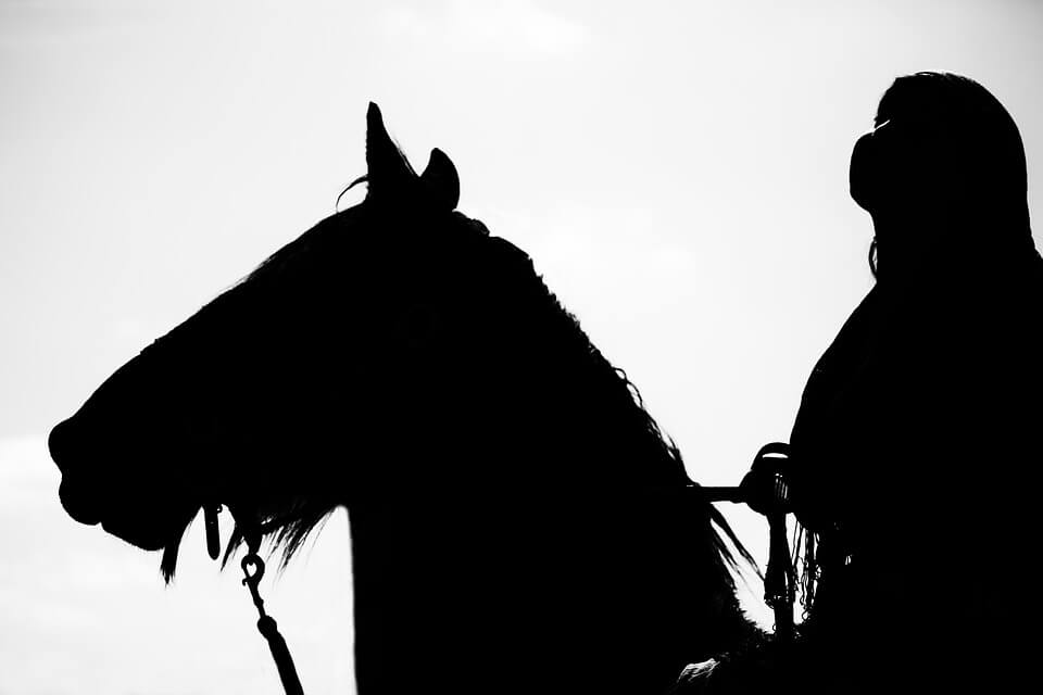 Aider Son Cheval A Avoir Confiance En Lui Meme Pourquoi Et Comment