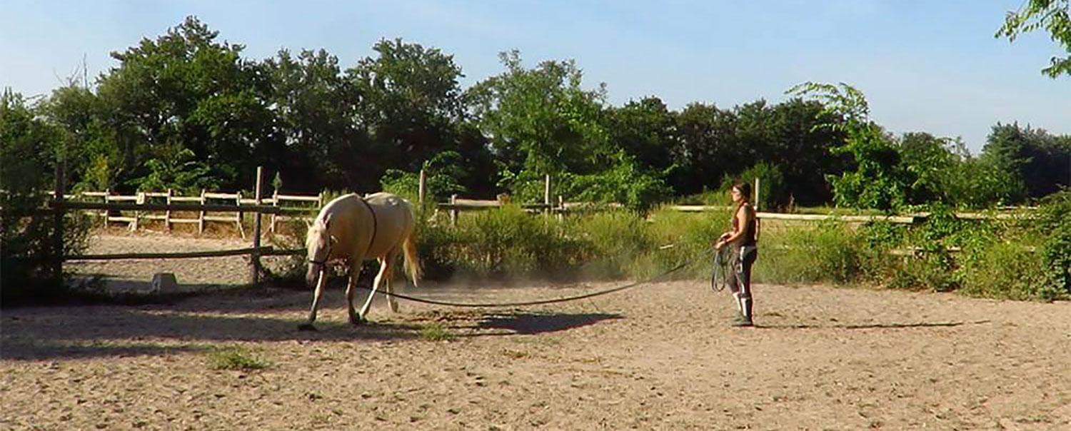 Enrenement longe Waldhausen – So Horse Sellerie