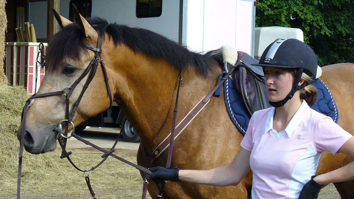 Equipement cheval pour la pratique du CSO : matériel chevaux : Decathlon