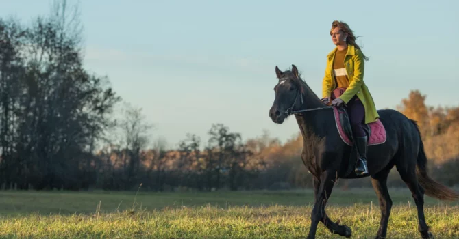 pourquoi et comment faire un trotting en extérieur avec son cheval ?