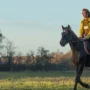 pourquoi et comment faire un trotting en extérieur avec son cheval ?